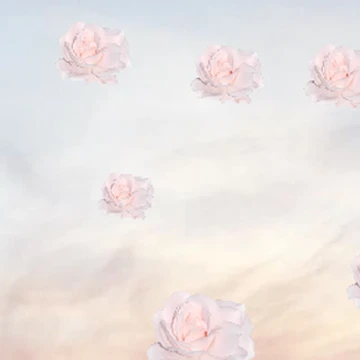 Rose the sky