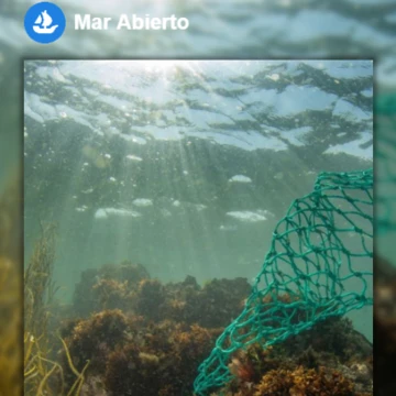 Mar Abierto