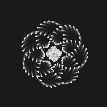 Metamorfosis neural